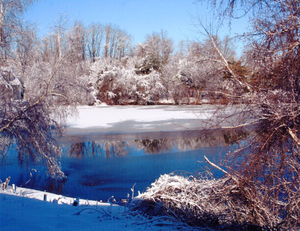 Skillings Pond in the winter