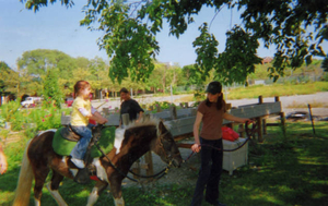 Pony rides at the St. Christopher's Church BBQ