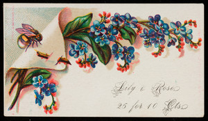 Sample card for lily & rose pack, location unknown, undated