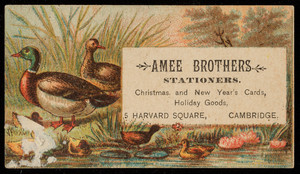 Trade card for Amee Brothers, stationers, 5 Harvard Square, Cambridge, Mass., undated