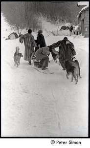 Fritz Hewitt, Catherine Blinder, unidentified man, and Marcia Braun (l. to r.) walking through the snow with dogs, Tree Frog Farm commune