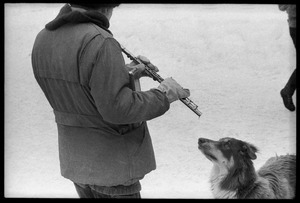 Dog staring at a man playing the flute during a protest against the invasion of Laos at the Vermont State Capitol