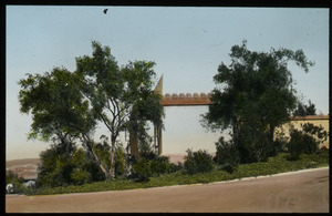 Olive tree, Los Angeles (trees and structure along road)