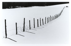Receding posts against snow