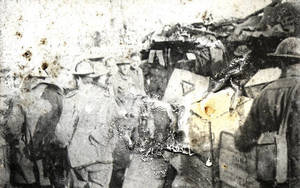 A.I.F. at Ypres (1917-1918)