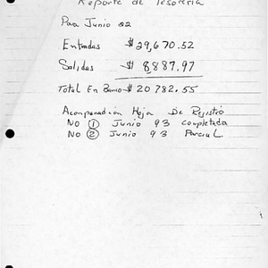 Treasurer's office report for June 1993 and scanned pages from financial ledger of expenses
