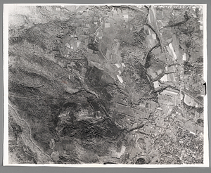 Hopkins Memorial Forest aerial photograph