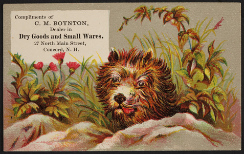 Trade card for C.M. Boynton, dealer in dry goods and small wares, 27 North Main Street, Concord, New Hampshire, undated