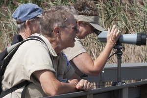 Jeannette Bragger (Mass Audubon Society volunteer) with other birders, Wellfleet Bay Wildlife Sanctuary