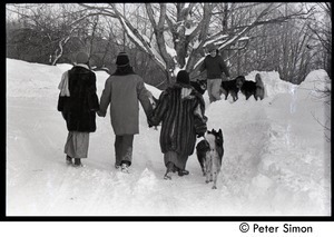 Elliot Blinder, Catherine Blinder, and Marcia Braun (l. to r.) walking down a snowy road with dogs, Tree Frog Farm commune