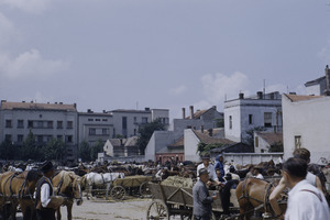 Livestock market, Belgrade