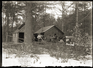 Men in a wood-cutting camp (Greenwich, Mass.)