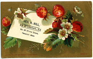 Geo. H. Hill, florist