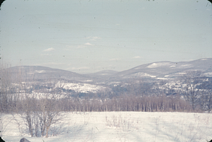 View North toward Broad Brook from HMF Headquarters.