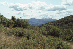 View of Mt. Greylock and The Hopper from the north side of Petersburg Pass.