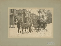 Dandy and Duke Pulling a Sleigh