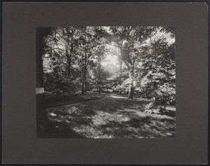 View of the grounds of Sevenels, Augustus Lowell House, 70 Heath Street and Warren Street, Brookline, Mass., undated