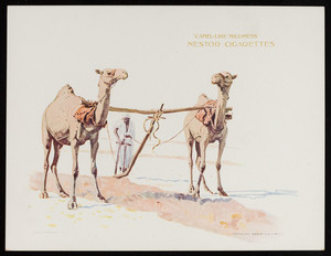 Trade card for Nestor Cigarettes, man plowing with camels, Nestor Gianaclis Company, Cairo, Boston, London, 1899