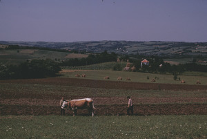 Plowing in the distance, Orašac