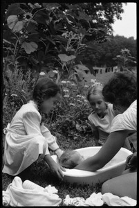 Nina Keller (back to camera), Sequoya Frey (right), and unidentified girl bathing an infant outdoors, Montague Farm Commune