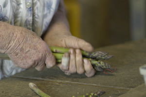 Hibbard Farm: close-up of a woman's hands while bunching asparagus