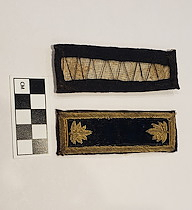 Epaulet