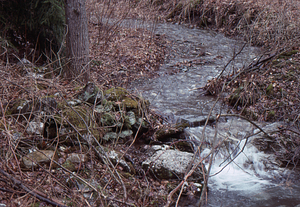 ENVI 102 - Introduction to Environmental Science in Moon Lot - Primmer Farm. 8. North Branch Birch Brook.