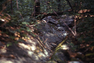 Intermittent stream on phyllite bedrock in Moon Hollow of the Hopkins Forest.