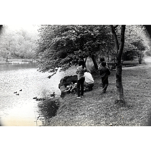 Children feed ducks at the water's edge