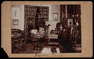 Unidentified drawing room, circa 1900