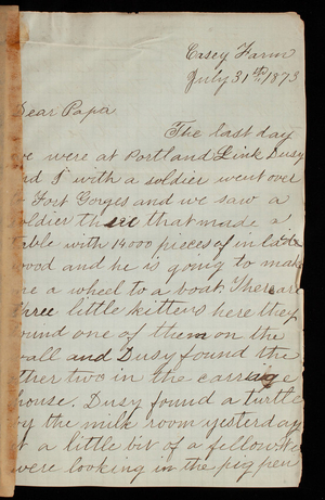 Harry Weir Casey To Thomas Lincoln Casey, July 31, 1873 - Digital ...