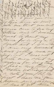 Letter from Leverett Saltonstall to Rose Lee Saltonstall, 25 November 1876