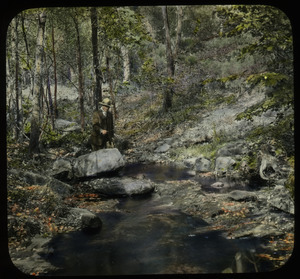 Orient Brook (man fishing in the woods)