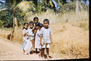 Village school children on the road near Thiruvananthapuram