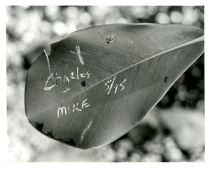 "Charles + Mike" on leaf