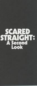 Scared Straight: a Second Look