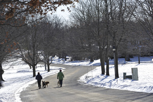 Two people walking their dogs along South Main Street, New Salem Common