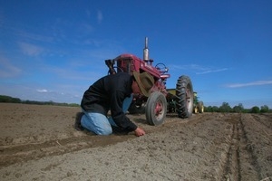 Lazy Acres Farm (Zuchowski Farm): Allan Zuchowski inspecting the soil in a corn field