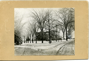 View up the Avenue with Old Chapel, Massachusetts Agricultural College
