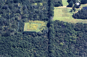 Aerial color image of south boundary of The Hopkins Memorial Forest west of Northwest Hill Road. False Color Infrared/True Color Project.