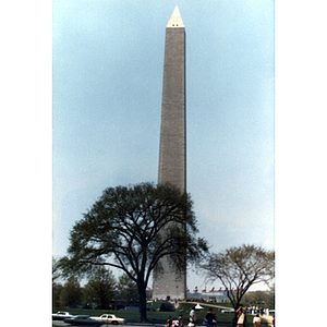 View of the Washington Monument