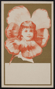 Trade card for Trifet's, stationery, 19 Franklin Street, Boston, Mass., undated