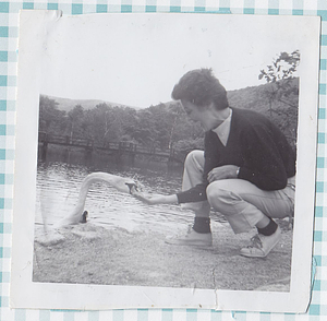 Woman feeding swan