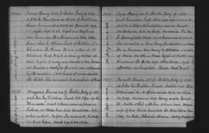 Tewksbury Almshouse Intake Record: Naves, Henry