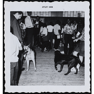 The participants standing with their pets as judges score them in a Boys' Club Pet Show