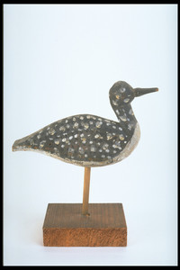 Shorebird Decoy