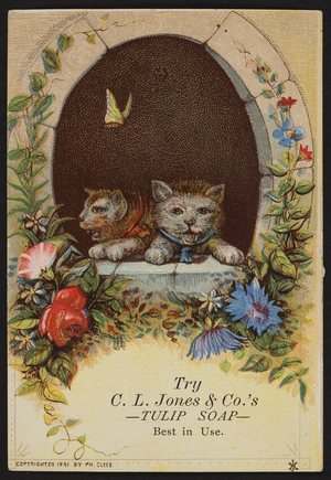 Trade card for Tulip Soap, C.L. Jones & Co., location unknown, 1881