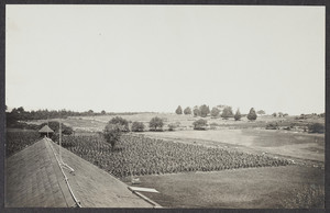 Fields in Petersham, Mass.