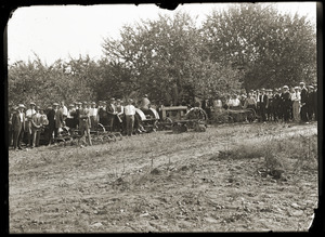 Tractors in the orchard