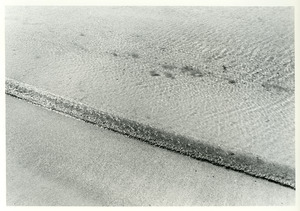 Tiny wavelet on Cooper's beach